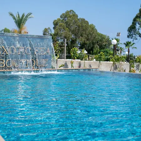 Exotic Sea Boutique Adults Only Protarász