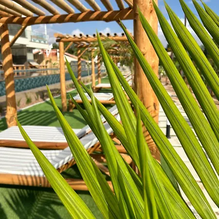 Exotic Sea Boutique Adults Only *