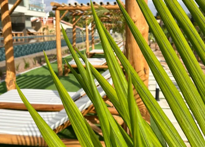 Exotic Sea Boutique Adults Only *